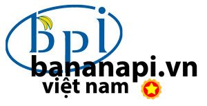 Banana Pi logo